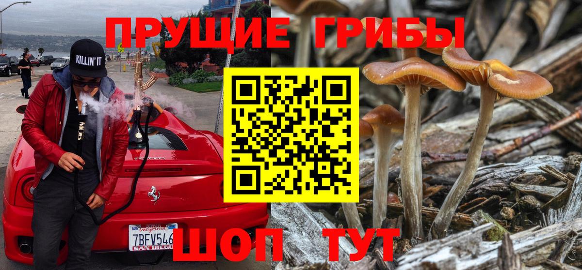 Псилоцибиновые грибы прущие грибы Балаково