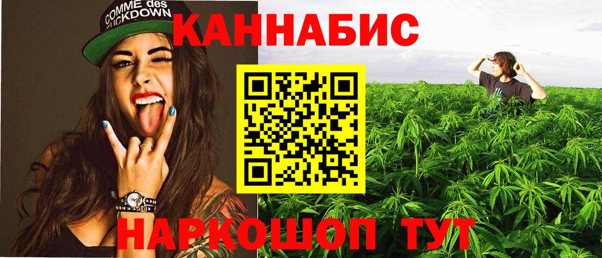 МАРИХУАНА сатива Балаково
